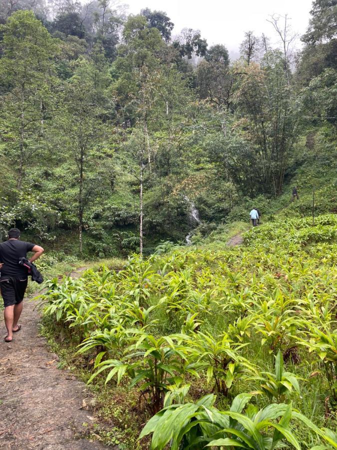 Khimsha Homestay 펠링 외부 사진