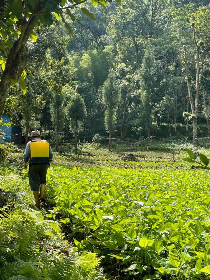 Khimsha Homestay 펠링 외부 사진