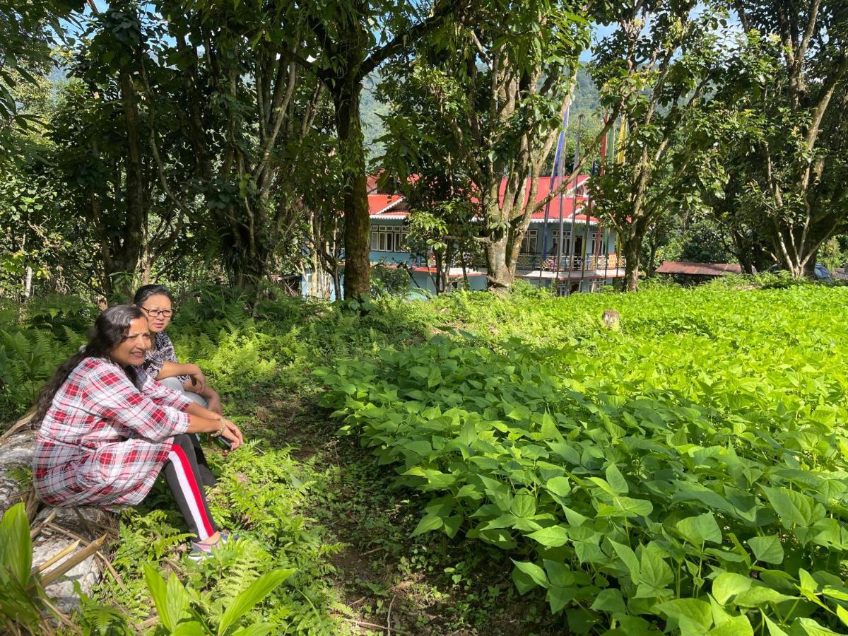 Khimsha Homestay 펠링 외부 사진